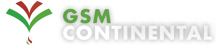 GSM CONTINENTAL Lavori e Servizi S.r.l.